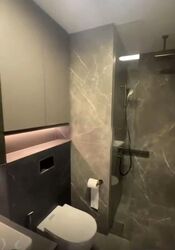 Irwell Hill Residences (D9), Apartment #553554051